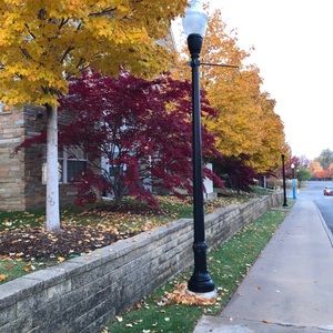 Meet your Posher, Henry